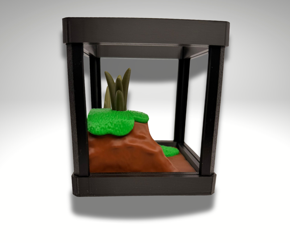 Tiny Black Rain Frog Terrarium - 3D Printed Frog and Terrarium - Room Decor - colour option