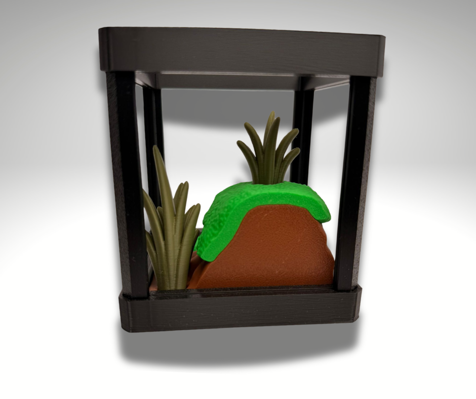 Tiny Black Rain Frog Terrarium - 3D Printed Frog and Terrarium - Room Decor - display example