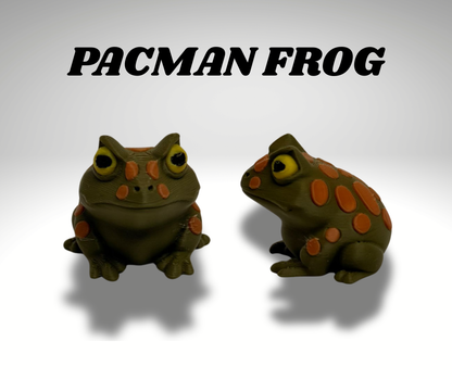 Tiny Pacman Frog Terrarium - 3D Printed Frog and Terrarium - Room Decor