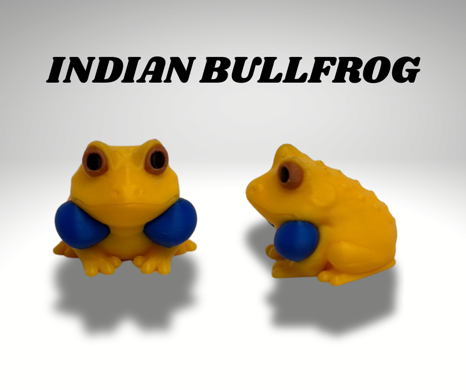Tiny Indian Bull Frog Terrarium - 3D Printed Frog and Terrarium - Room Decor - detail view