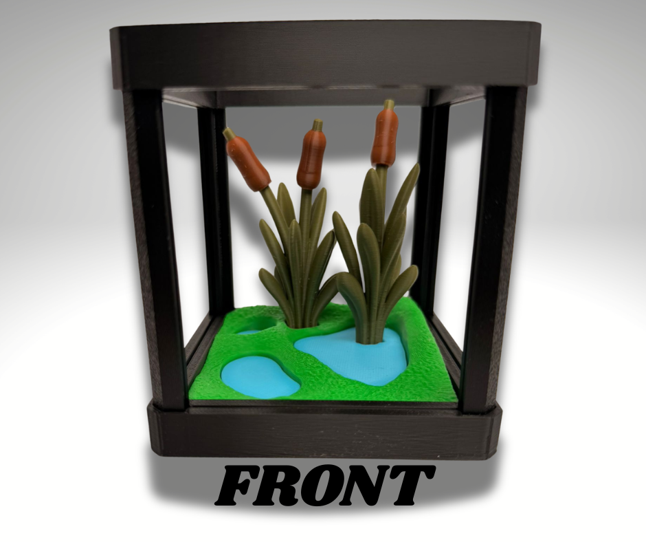 Tiny Indian Bull Frog Terrarium - 3D Printed Frog and Terrarium - Room Decor - scale view