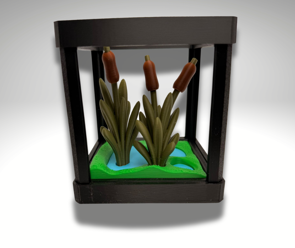 Tiny Indian Bull Frog Terrarium - 3D Printed Frog and Terrarium - Room Decor - display example