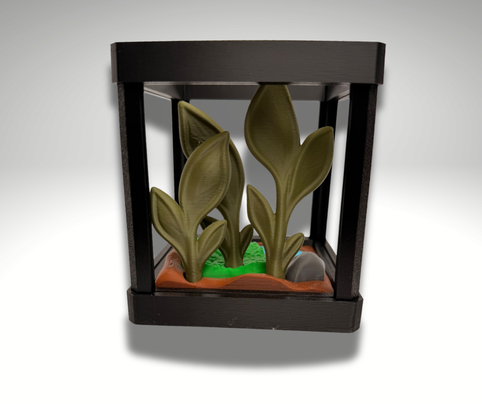 Tiny Pacman Frog Terrarium - 3D Printed Frog and Terrarium - Room Decor