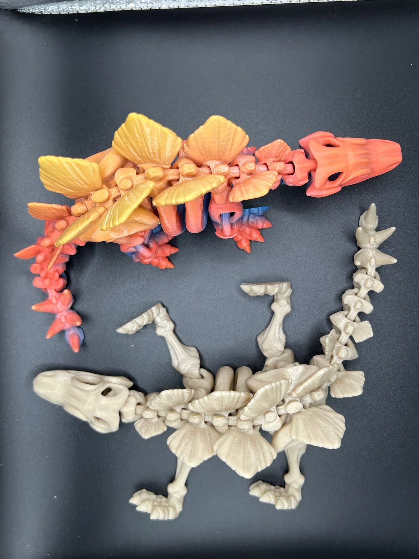 Articulated Fidget Skeleton Stegosaurus Dinosaur - Collectible Display Toy - scale view