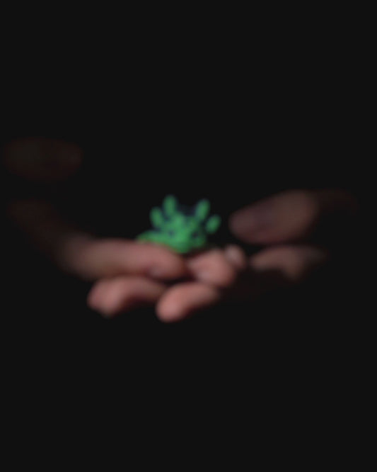 Baby Sour Axolotl Articulated Fidget Toy